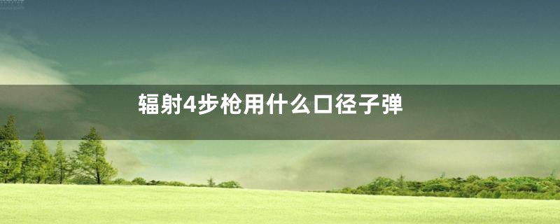 辐射4步枪用什么口径子弹