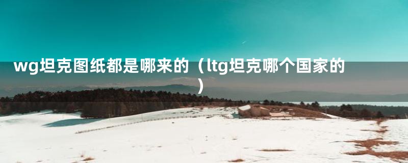 wg坦克图纸都是哪来的（ltg坦克哪个国家的）