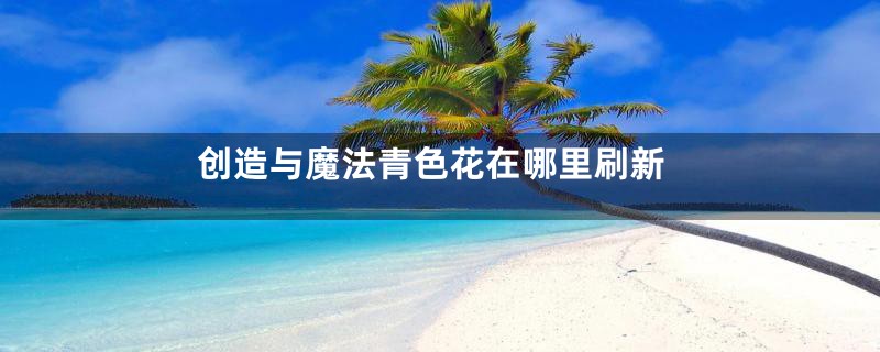 创造与魔法青色花在哪里刷新