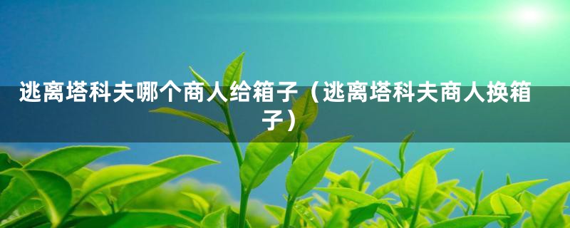 逃离塔科夫哪个商人给箱子（逃离塔科夫商人换箱子）