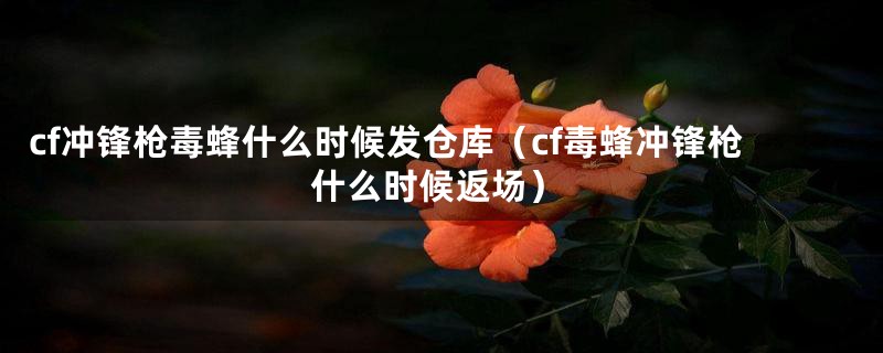 cf冲锋枪毒蜂什么时候发仓库（cf毒蜂冲锋枪什么时候返场）