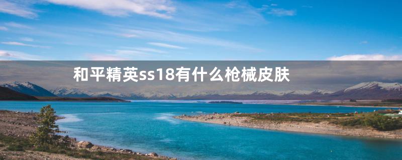 和平精英ss18有什么枪械皮肤