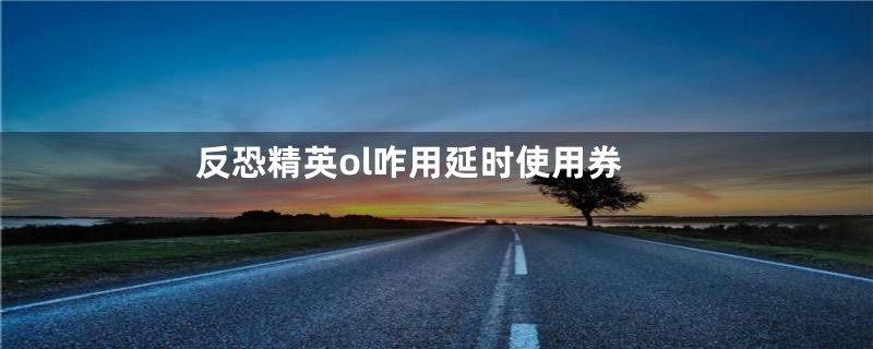 反恐精英ol咋用延时使用券