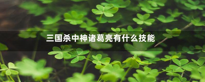 三国杀中神诸葛亮有什么技能