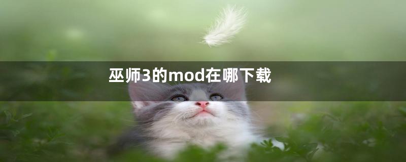 巫师3的mod在哪下载