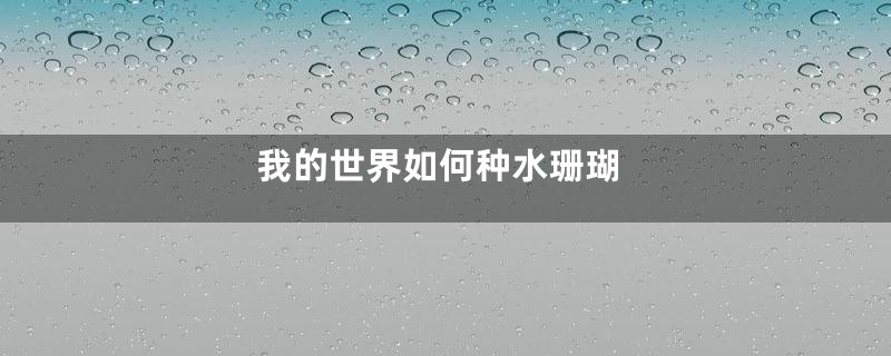 我的世界如何种水珊瑚