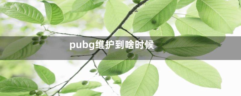 pubg维护到啥时候