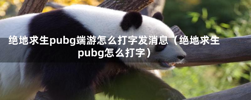 绝地求生pubg端游怎么打字发消息（绝地求生pubg怎么打字）