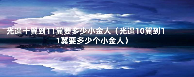 光遇十翼到11翼要多少小金人（光遇10翼到11翼要多少个小金人）