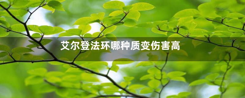 艾尔登法环哪种质变伤害高