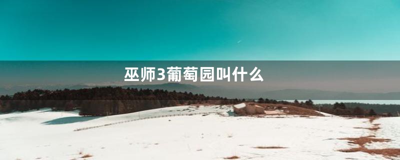 巫师3葡萄园叫什么