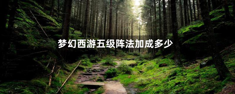 梦幻西游五级阵法加成多少