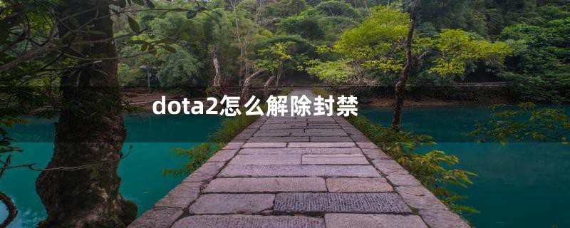 dota2怎么解除封禁