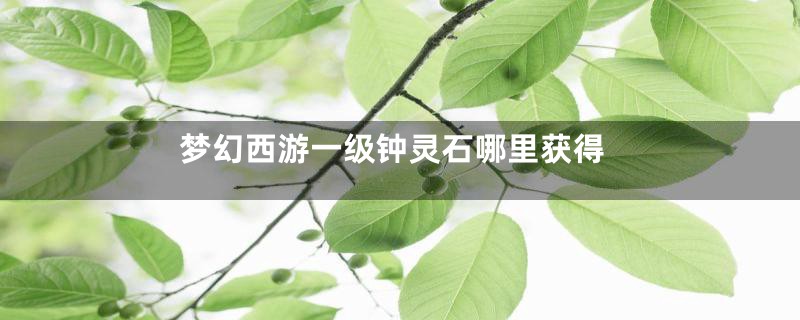 梦幻西游一级钟灵石哪里获得