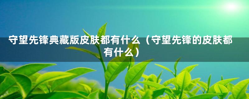 守望先锋典藏版皮肤都有什么（守望先锋的皮肤都有什么）