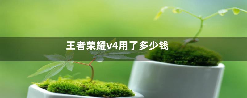 王者荣耀v4用了多少钱