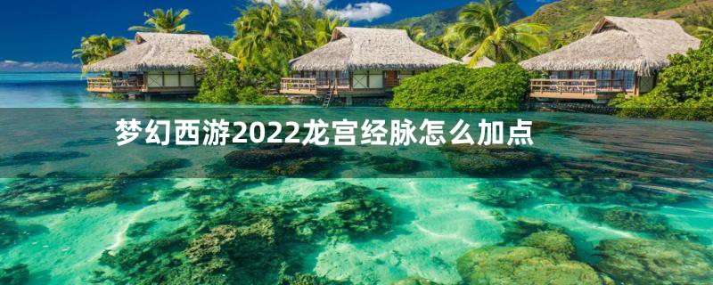 梦幻西游2022龙宫经脉怎么加点