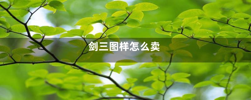 剑三图样怎么卖