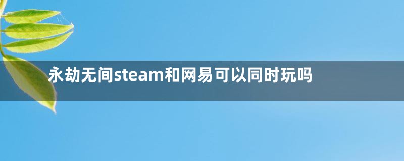 永劫无间steam和网易可以同时玩吗