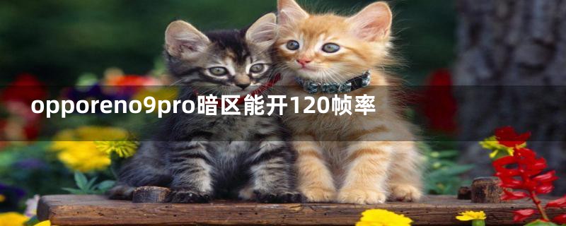 opporeno9pro暗区能开120帧率