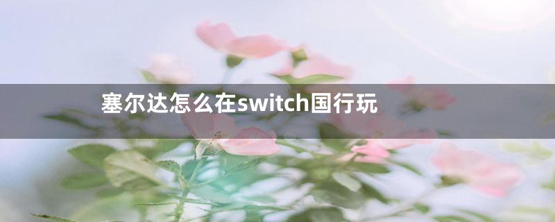 塞尔达怎么在switch国行玩