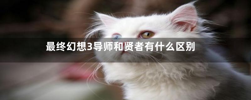 最终幻想3导师和贤者有什么区别