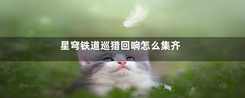 星穹铁道巡猎回响怎么集齐