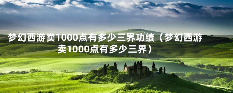 梦幻西游卖1000点有多少三界功绩（梦幻西游卖1000点有多少三界）