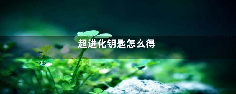 超进化钥匙怎么得