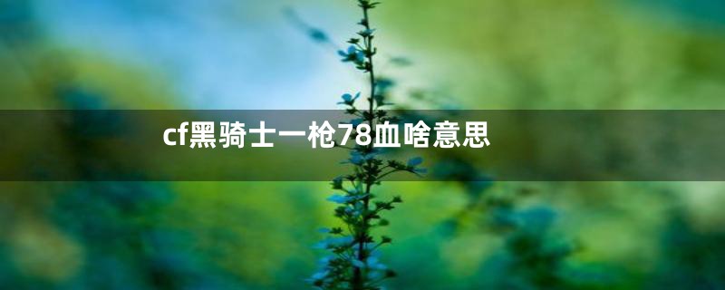 cf黑骑士一枪78血啥意思