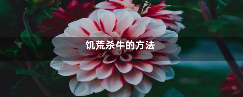 饥荒杀牛的方法