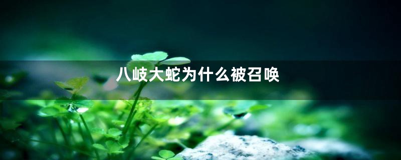 八岐大蛇为什么被召唤