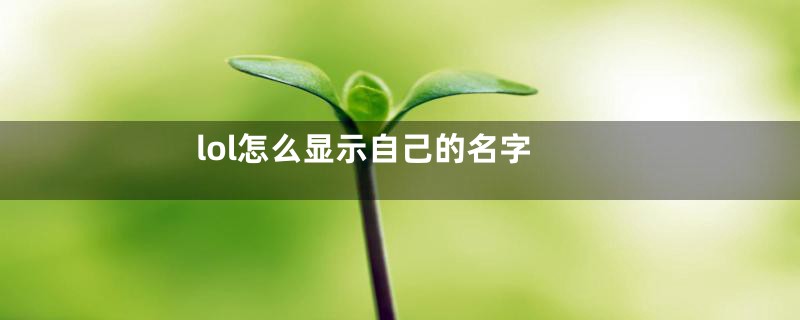 lol怎么显示自己的名字