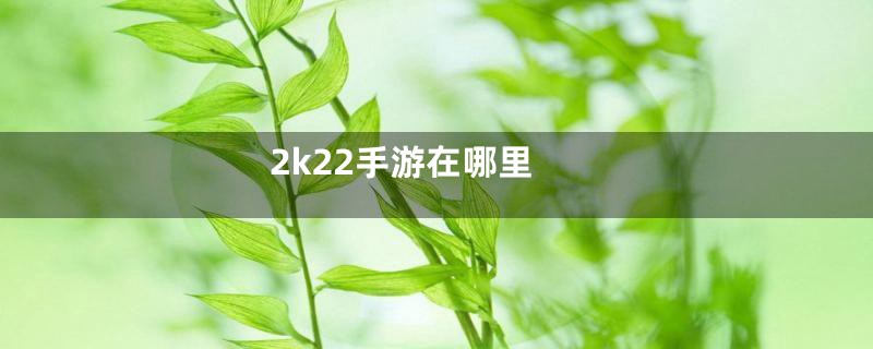 2k22手游在哪里