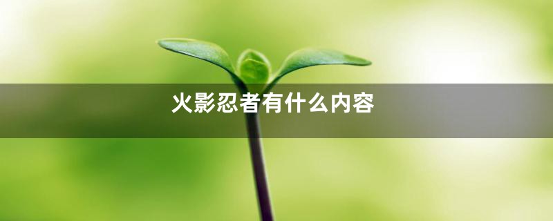 火影忍者有什么内容