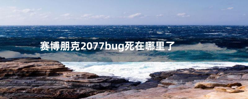 赛博朋克2077bug死在哪里了