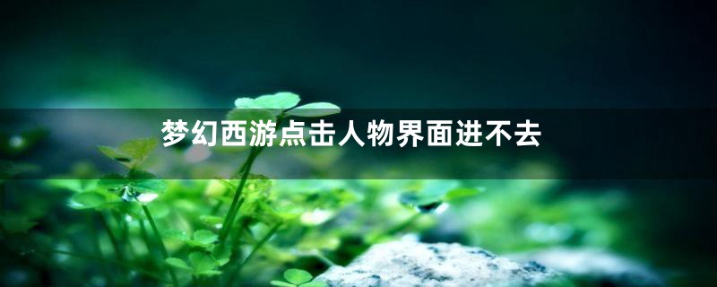 梦幻西游点击人物界面进不去