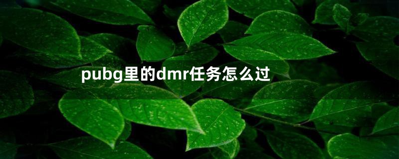 pubg里的dmr任务怎么过