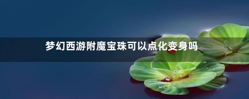 梦幻西游附魔宝珠可以点化变身吗