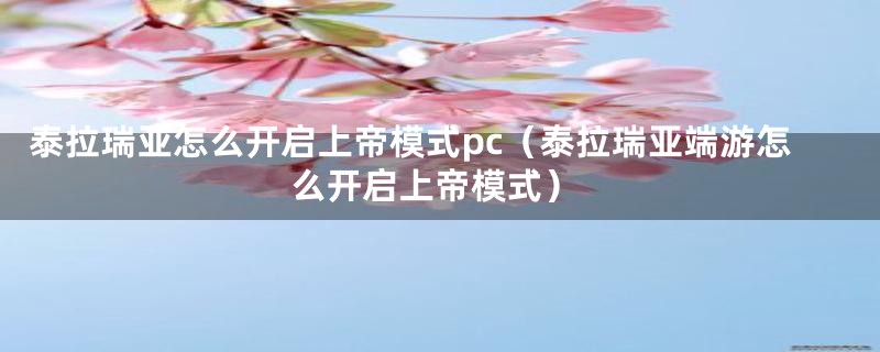 泰拉瑞亚怎么开启上帝模式pc（泰拉瑞亚端游怎么开启上帝模式）