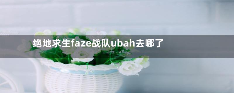 绝地求生faze战队ubah去哪了