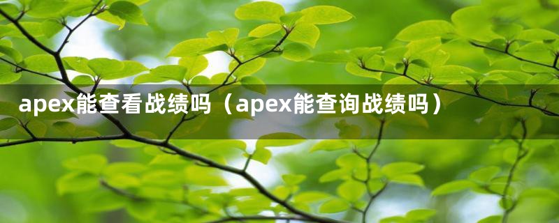 apex能查看战绩吗（apex能查询战绩吗）