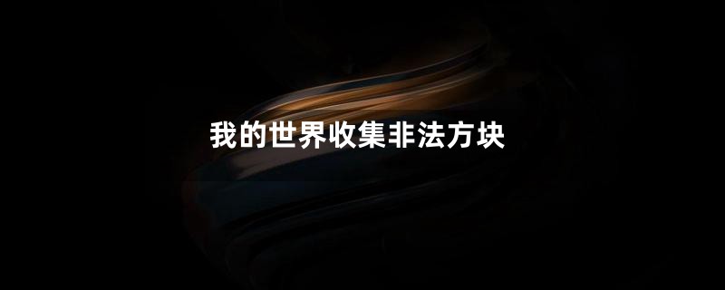 我的世界收集非法方块