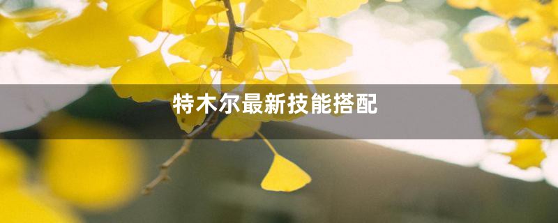 特木尔最新技能搭配