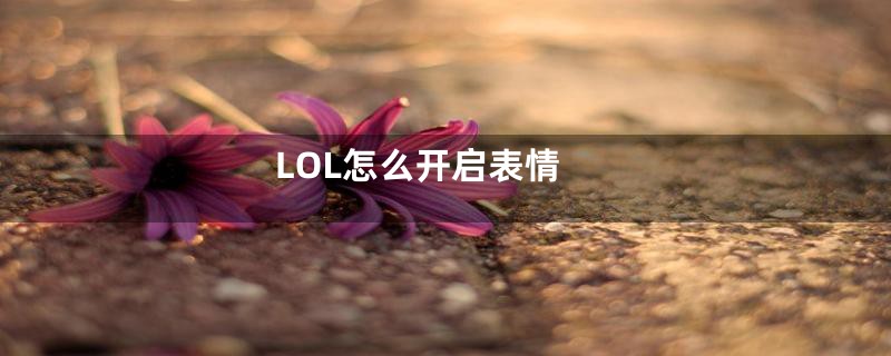 LOL怎么开启表情