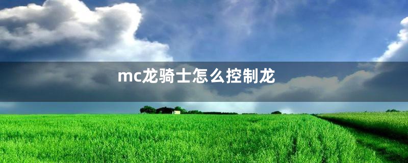 mc龙骑士怎么控制龙