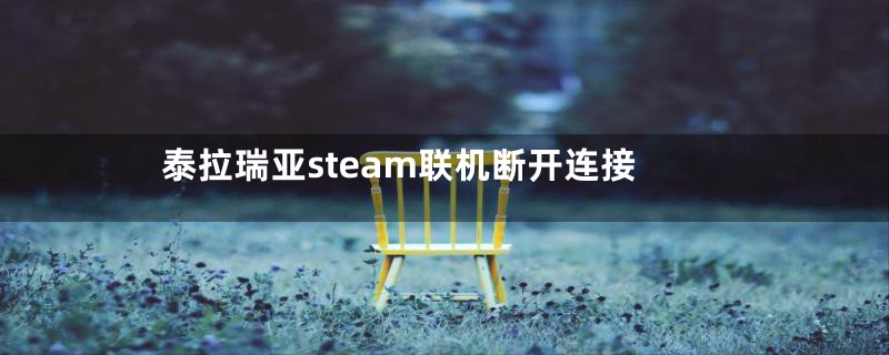 泰拉瑞亚steam联机断开连接