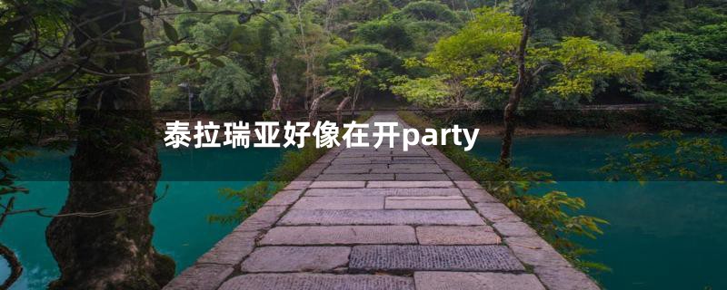 泰拉瑞亚好像在开party