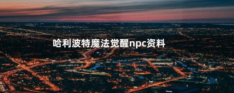 哈利波特魔法觉醒npc资料