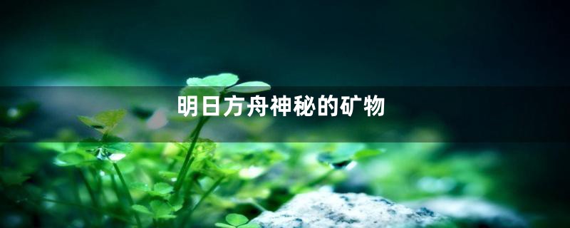 明日方舟神秘的矿物